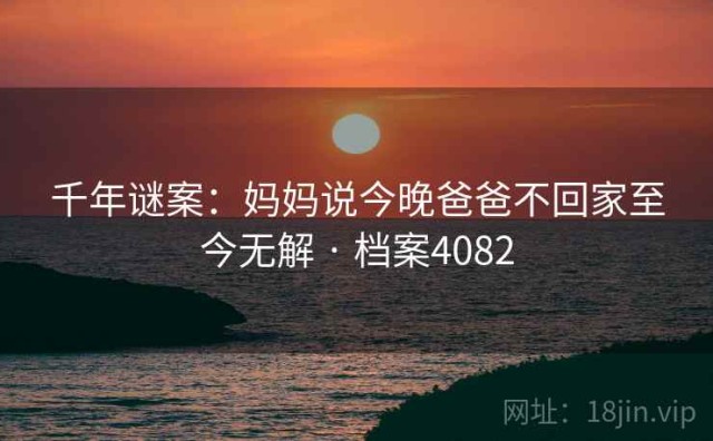 千年谜案：妈妈说今晚爸爸不回家至今无解 · 档案4082
