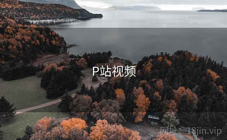 P站视频