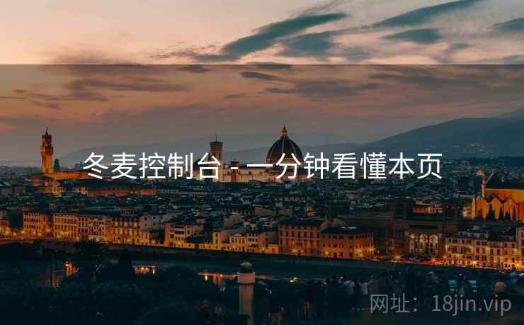 冬麦控制台 - 一分钟看懂本页