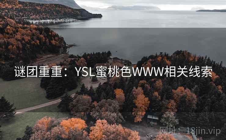 谜团重重：YSL蜜桃色WWW相关线索