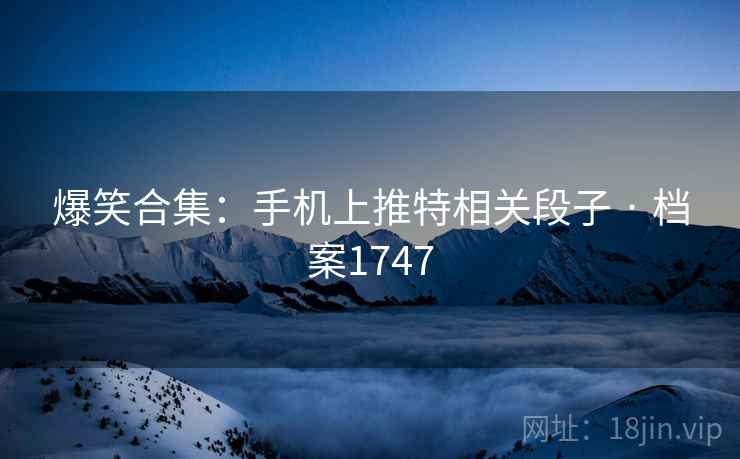爆笑合集：手机上推特相关段子 · 档案1747