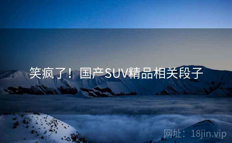 笑疯了！国产SUV精品相关段子